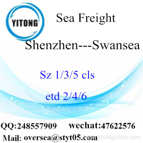 Shenzhen Port LCL Consolidatie Naar Swansea